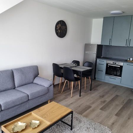 Cerna Ruze- Apartman 5 Plzen Exterior photo