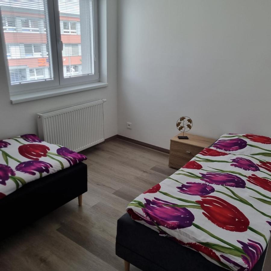 Cerna Ruze- Apartman 5 Plzen Exterior photo