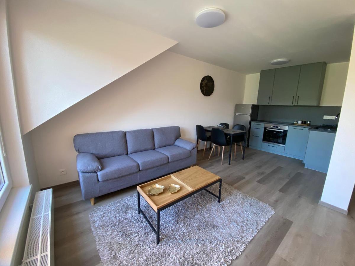 Cerna Ruze- Apartman 5 Plzen Exterior photo