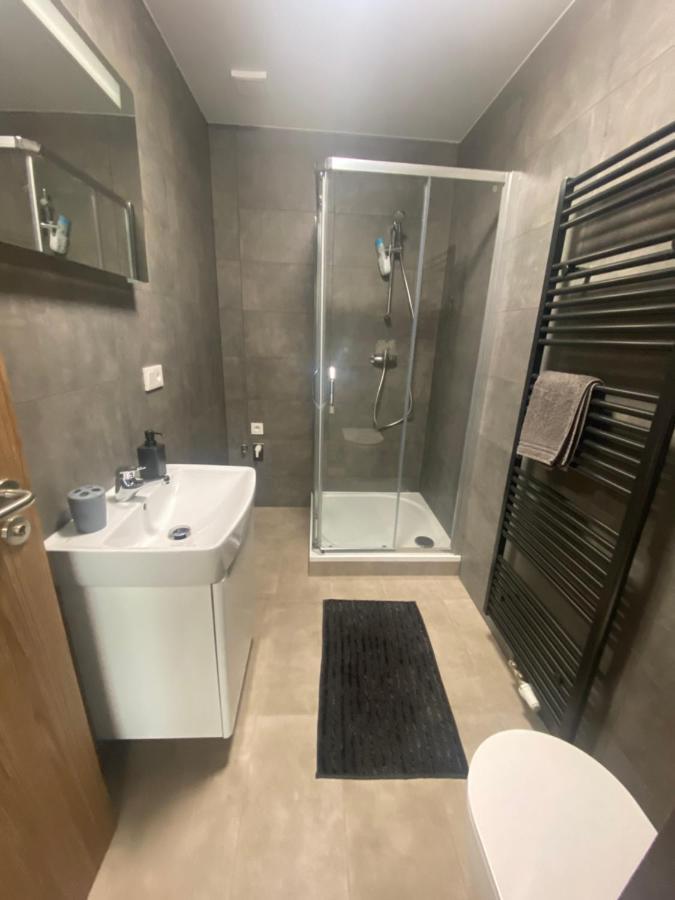 Cerna Ruze- Apartman 5 Plzen Exterior photo
