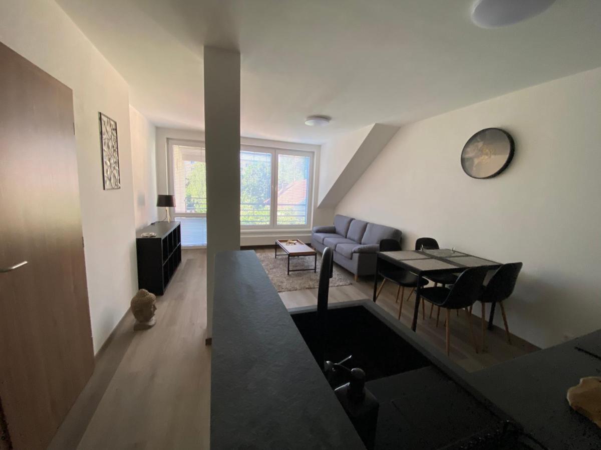 Cerna Ruze- Apartman 5 Plzen Exterior photo